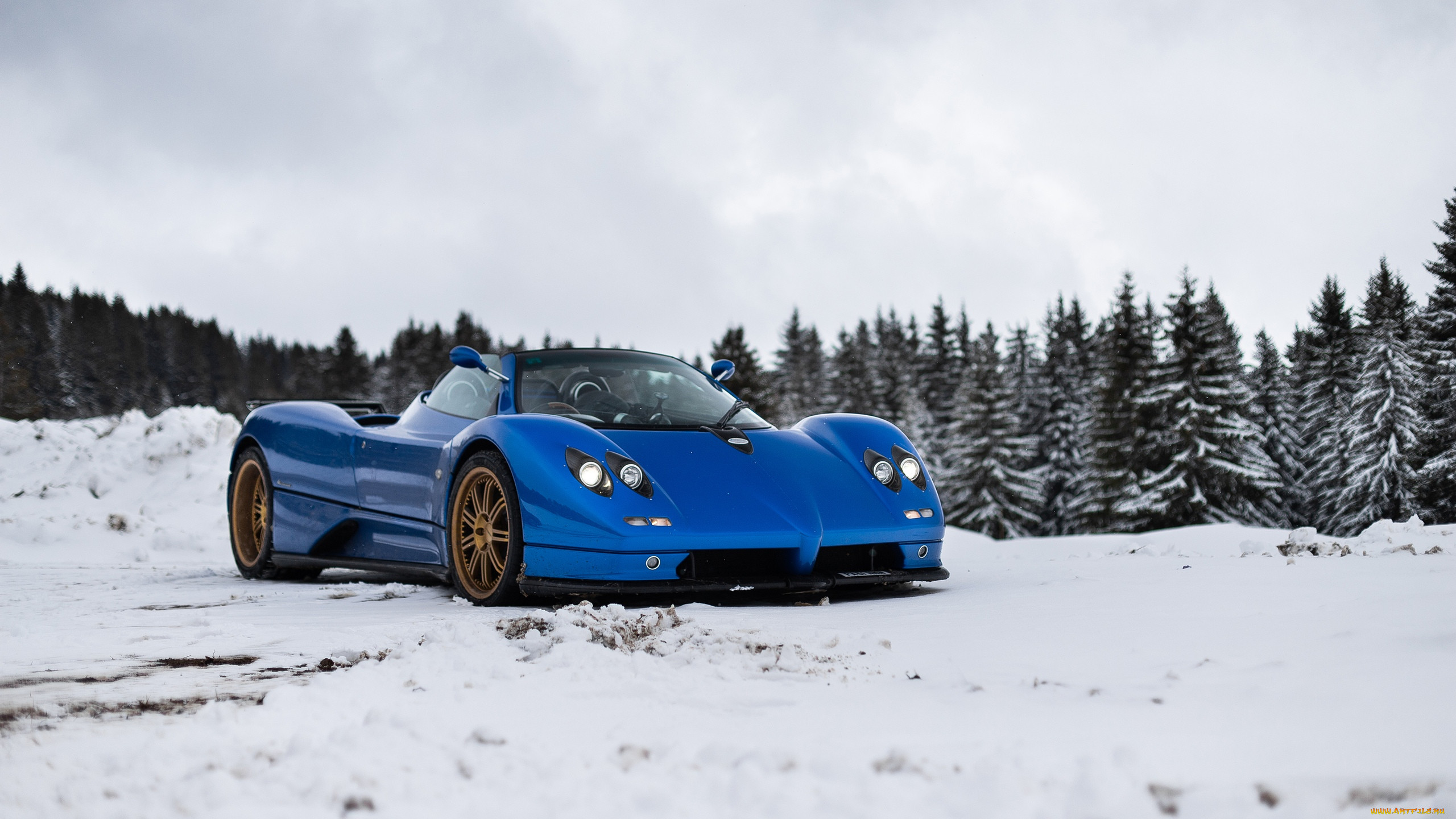 , pagani, zonda